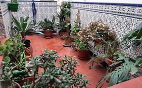 Sotel Valle Guadiaro